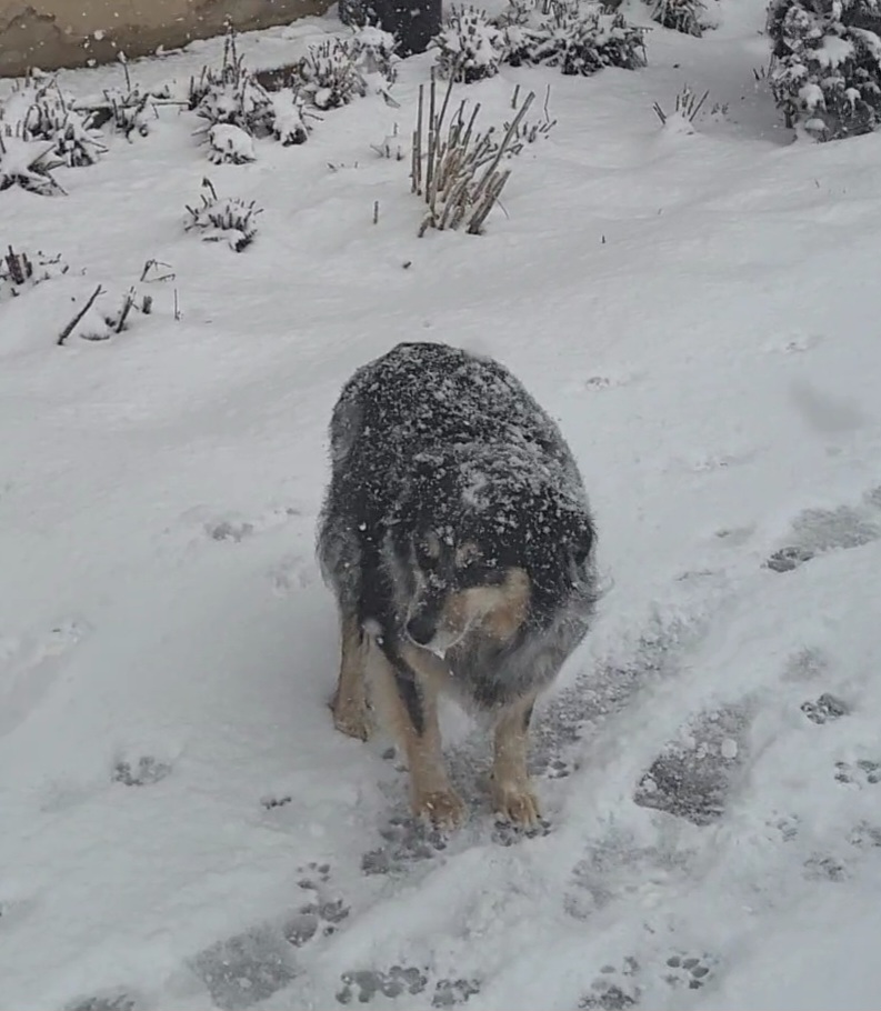 VideoCapture_20240216-100520.jpg
