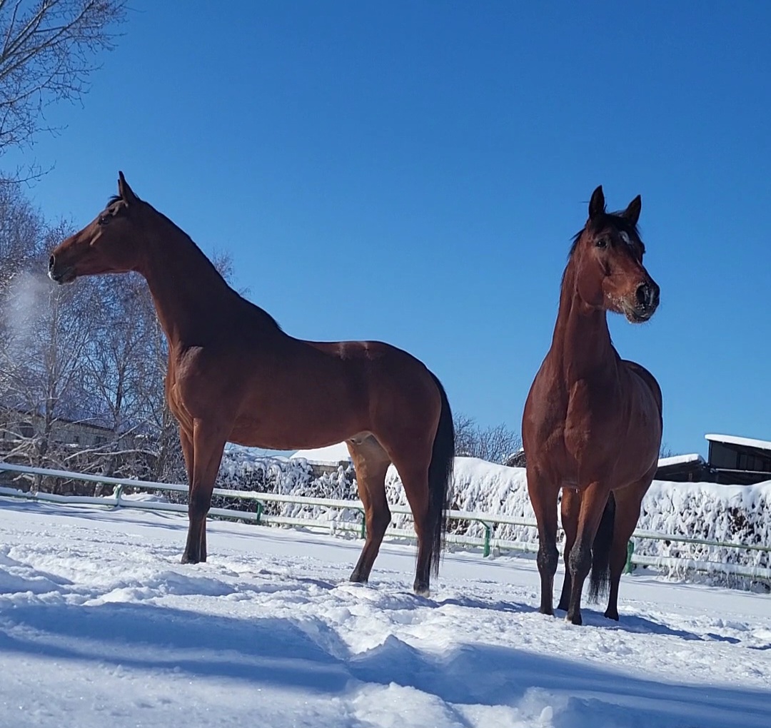 VideoCapture_20240217-114114.jpg