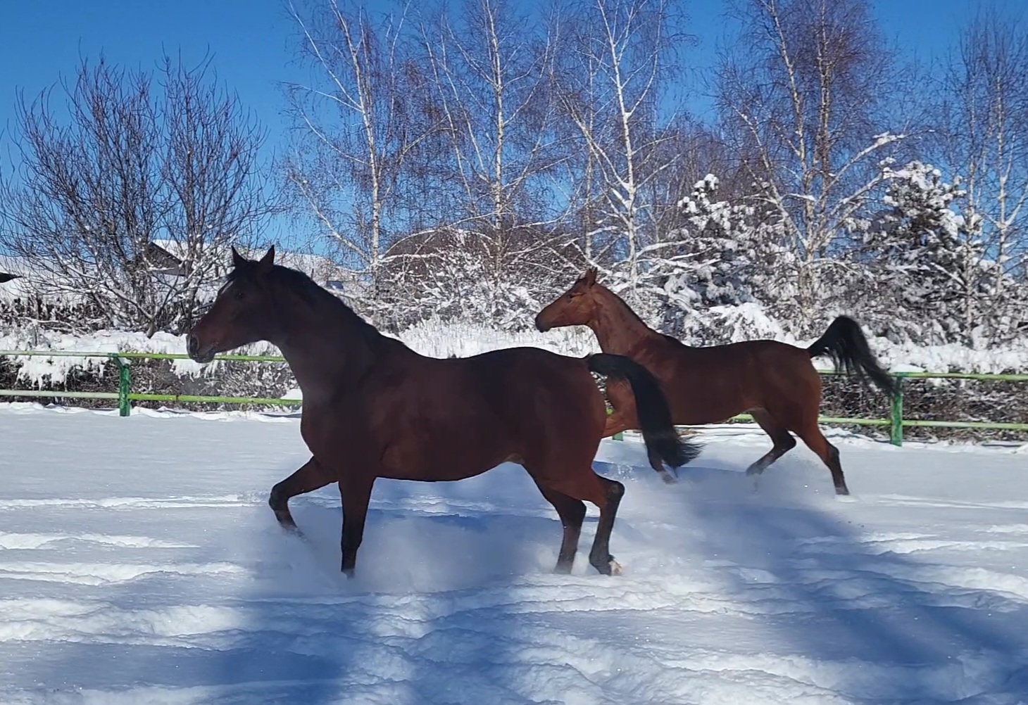 VideoCapture_20240217-114246.jpg