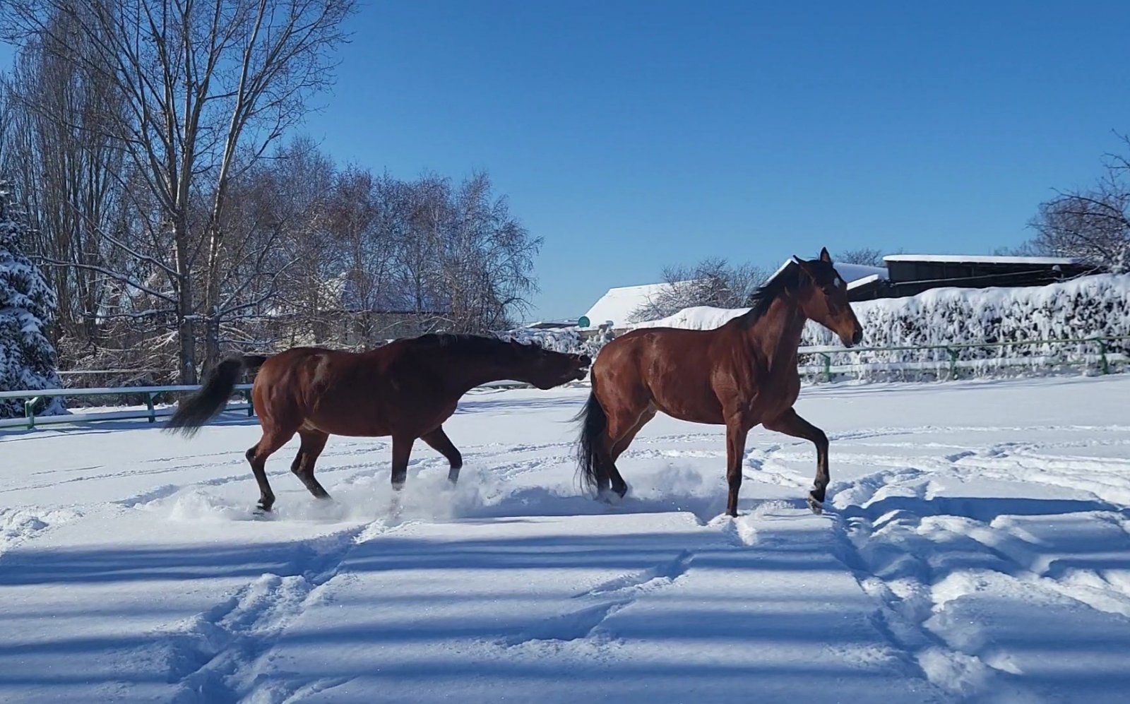 VideoCapture_20240217-114422.jpg