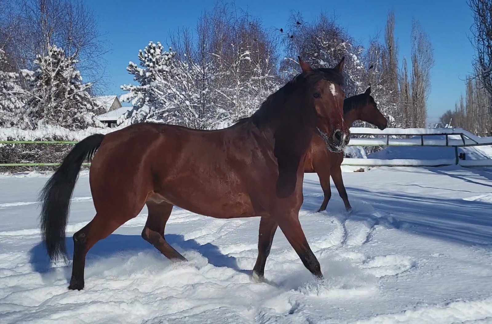 VideoCapture_20240217-114446.jpg