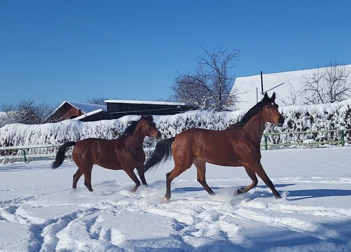 VideoCapture_20240217-114525.jpg
