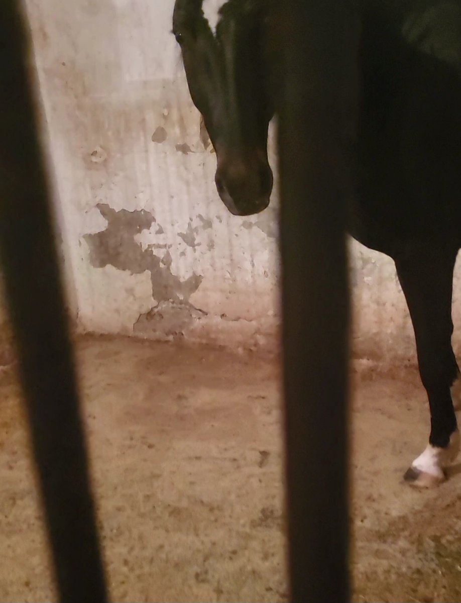 VideoCapture_20240224-222213.jpg