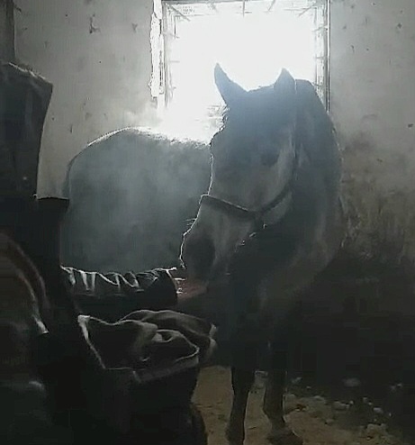 VideoCapture_20240225-110511.jpg