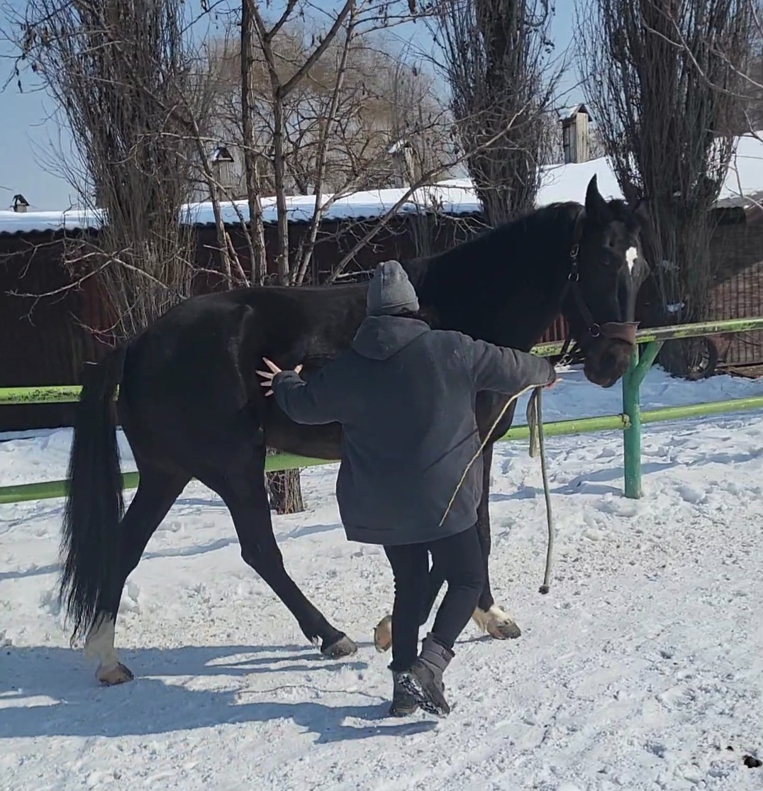VideoCapture_20240301-214123.jpg
