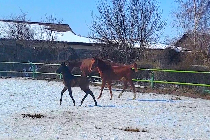 VideoCapture_20240304-201637.jpg