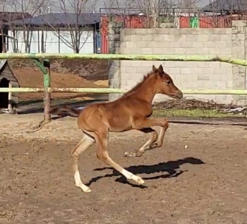 VideoCapture_20240318-122609.jpg