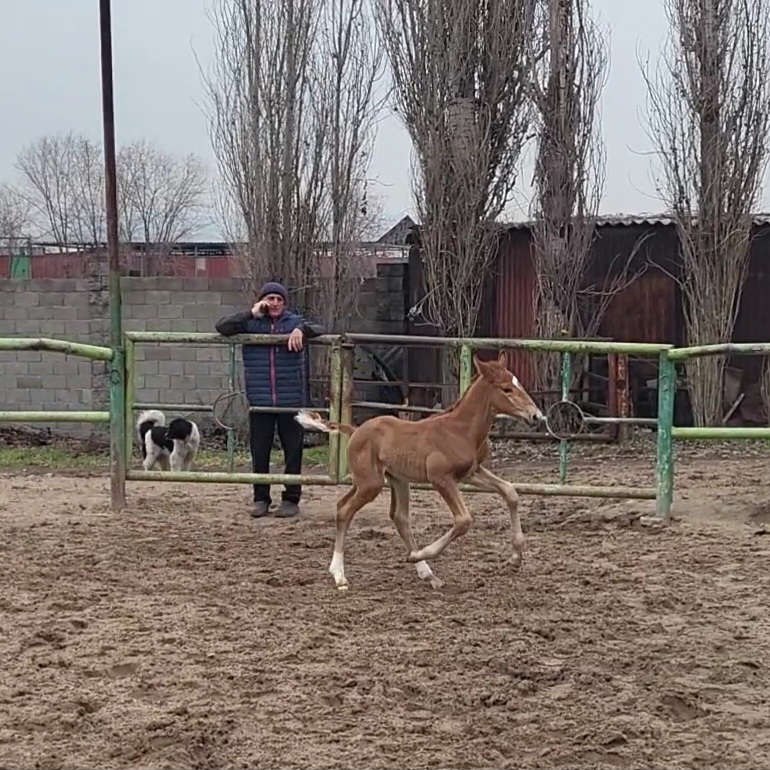 VideoCapture_20240320-140335.jpg