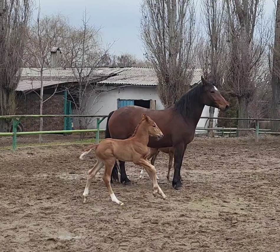 VideoCapture_20240320-140410.jpg