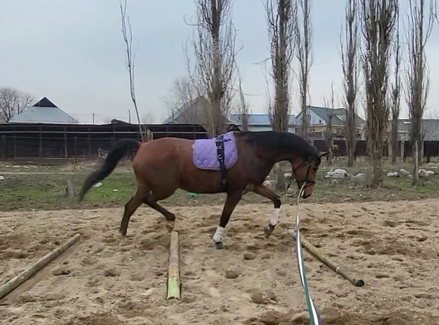 VideoCapture_20240320-141333.webp