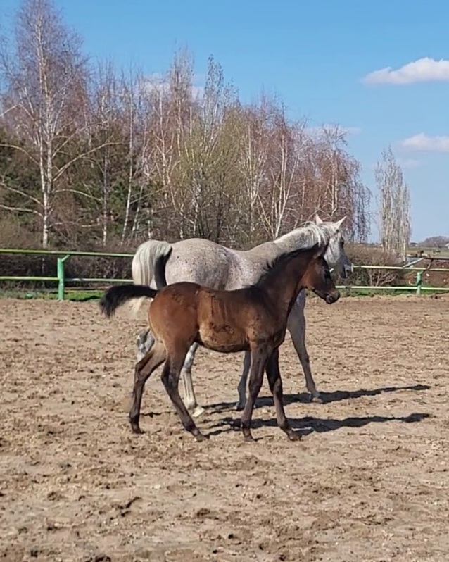VideoCapture_20240401-150246.jpg