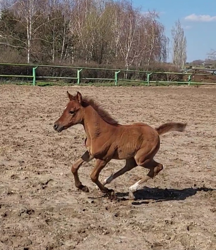VideoCapture_20240401-150331.jpg