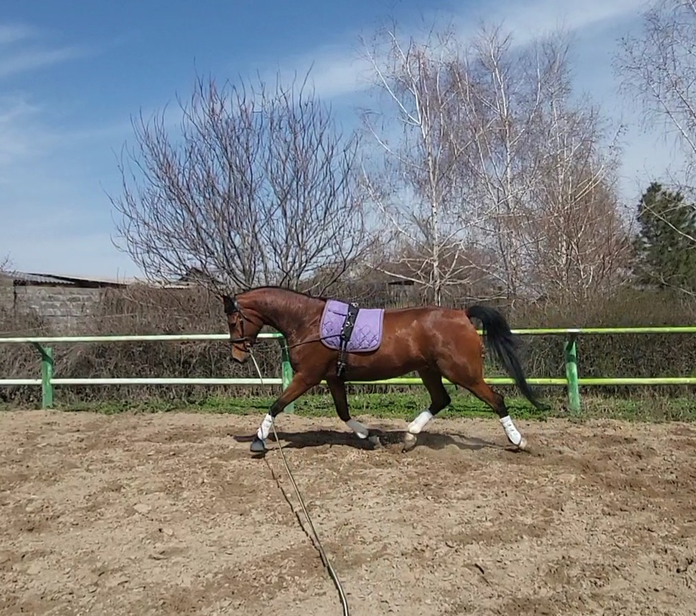 VideoCapture_20240404-120948.jpg