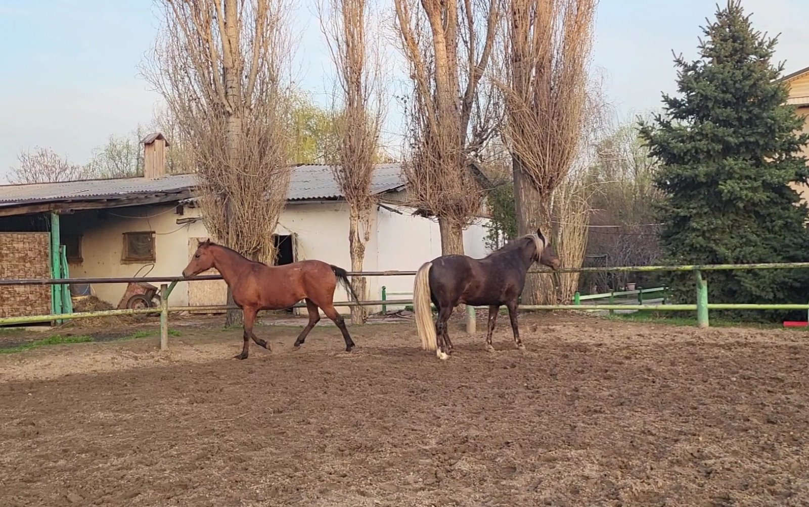 VideoCapture_20240412-072116.jpg