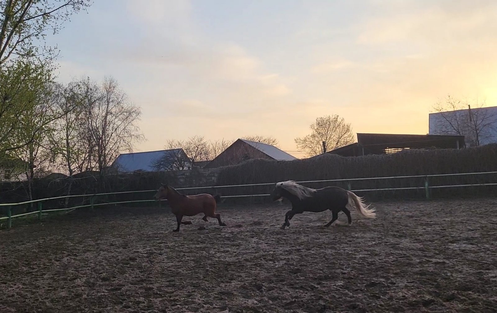 VideoCapture_20240412-072234.jpg