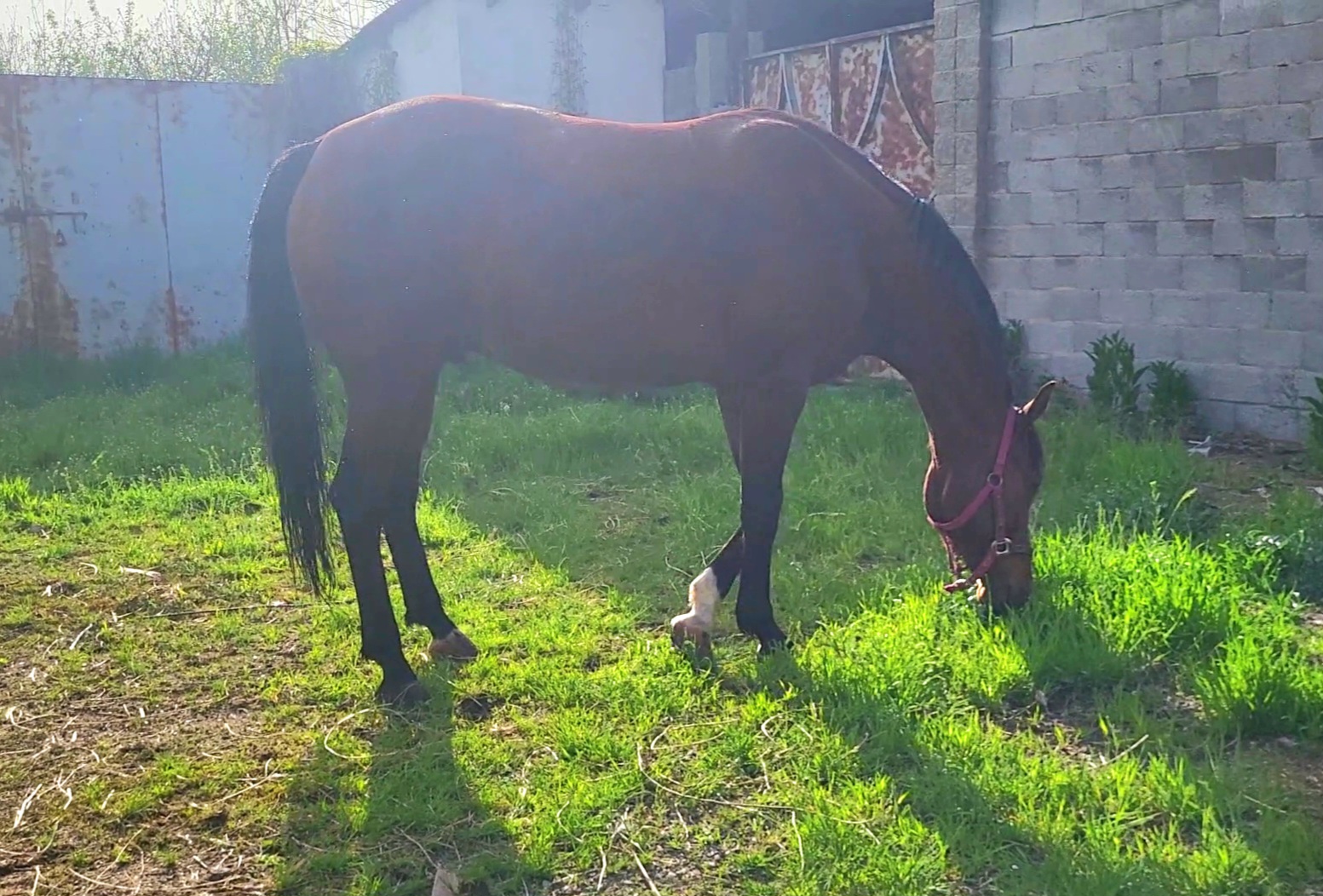 VideoCapture_20240419-170541.jpg