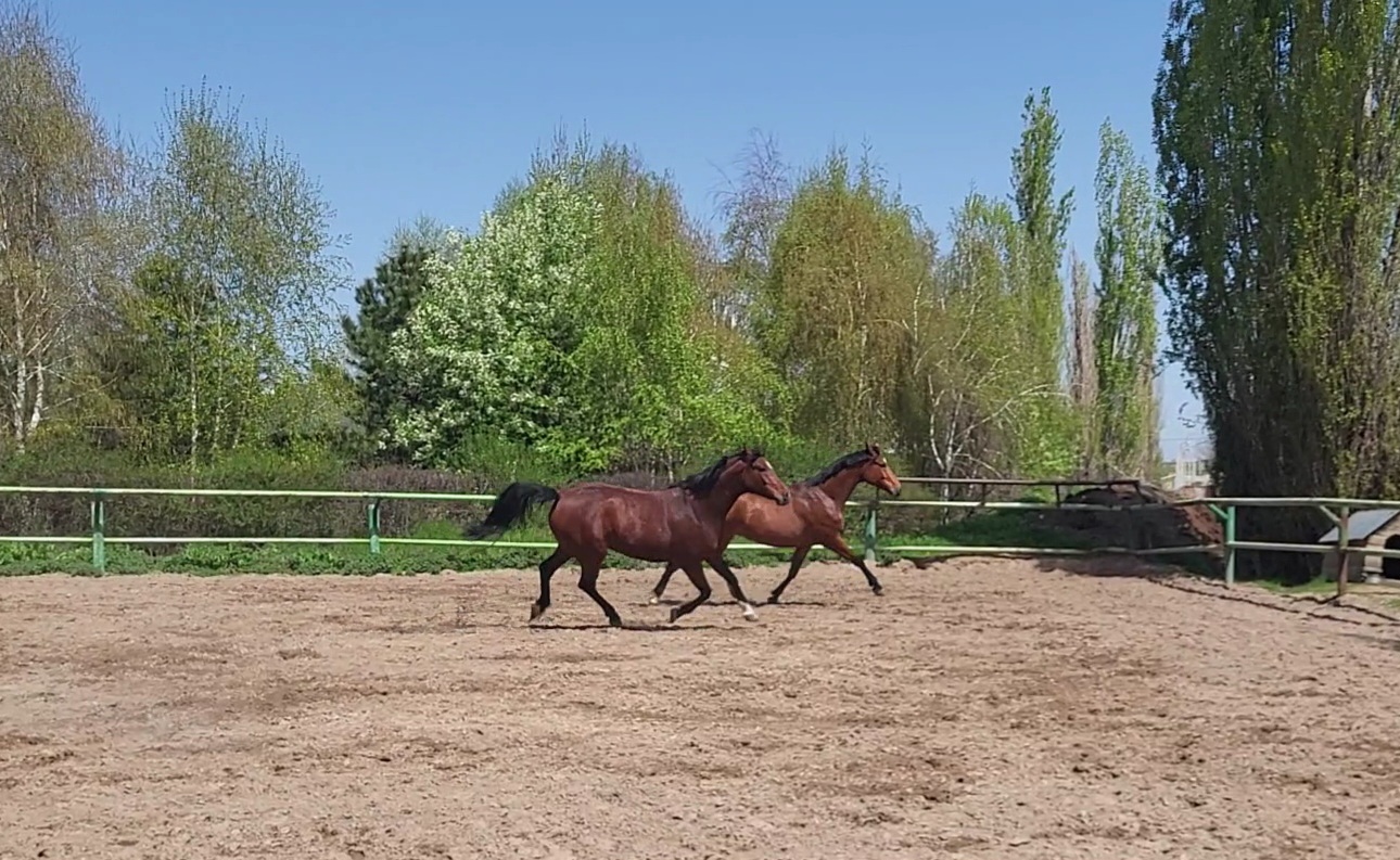 VideoCapture_20240420-104844.jpg