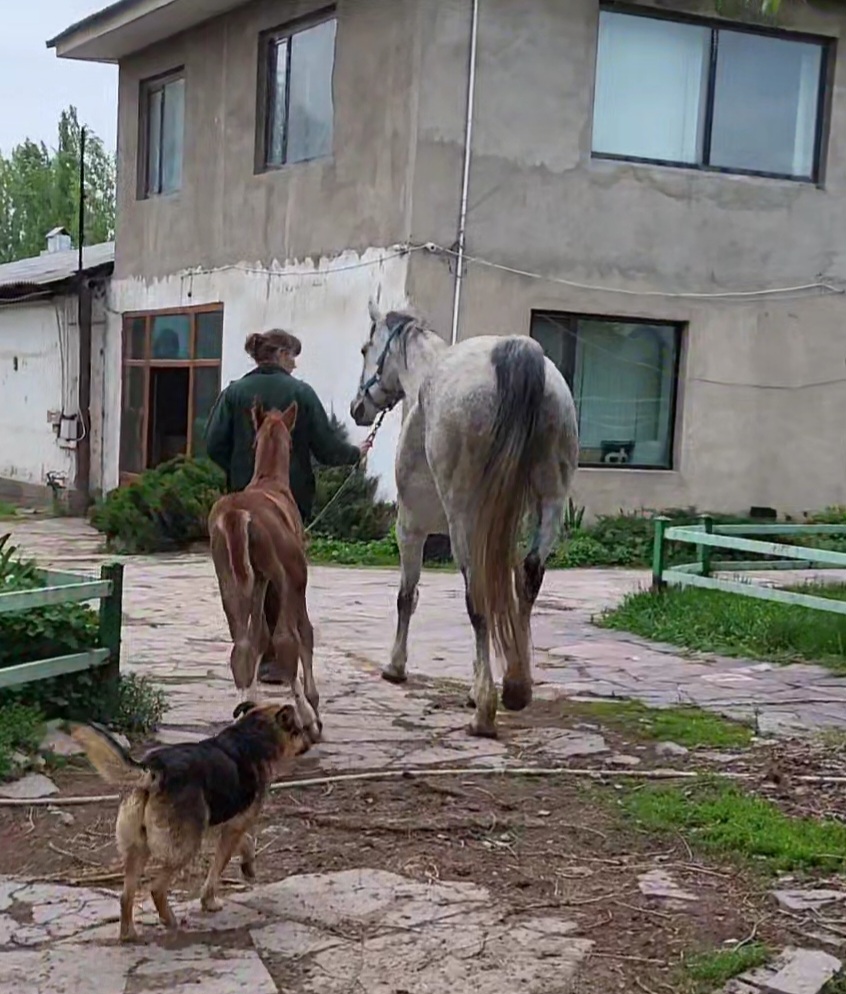 VideoCapture_20240426-193744.jpg