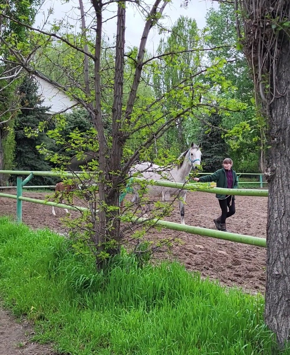 VideoCapture_20240426-194317.jpg