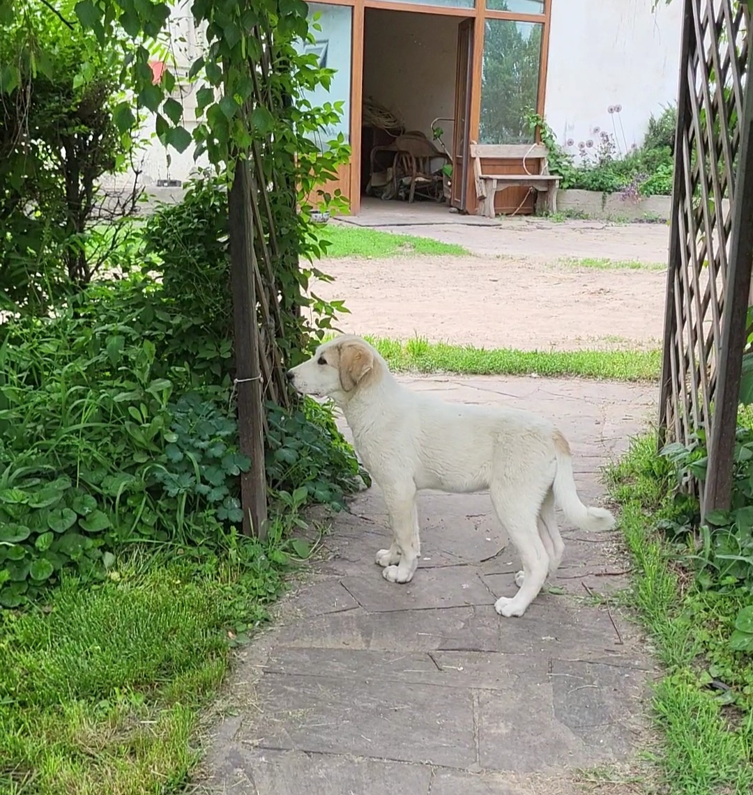 VideoCapture_20240524-090315.jpg