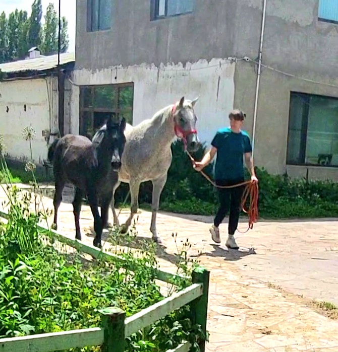 VideoCapture_20240530-135049.jpg