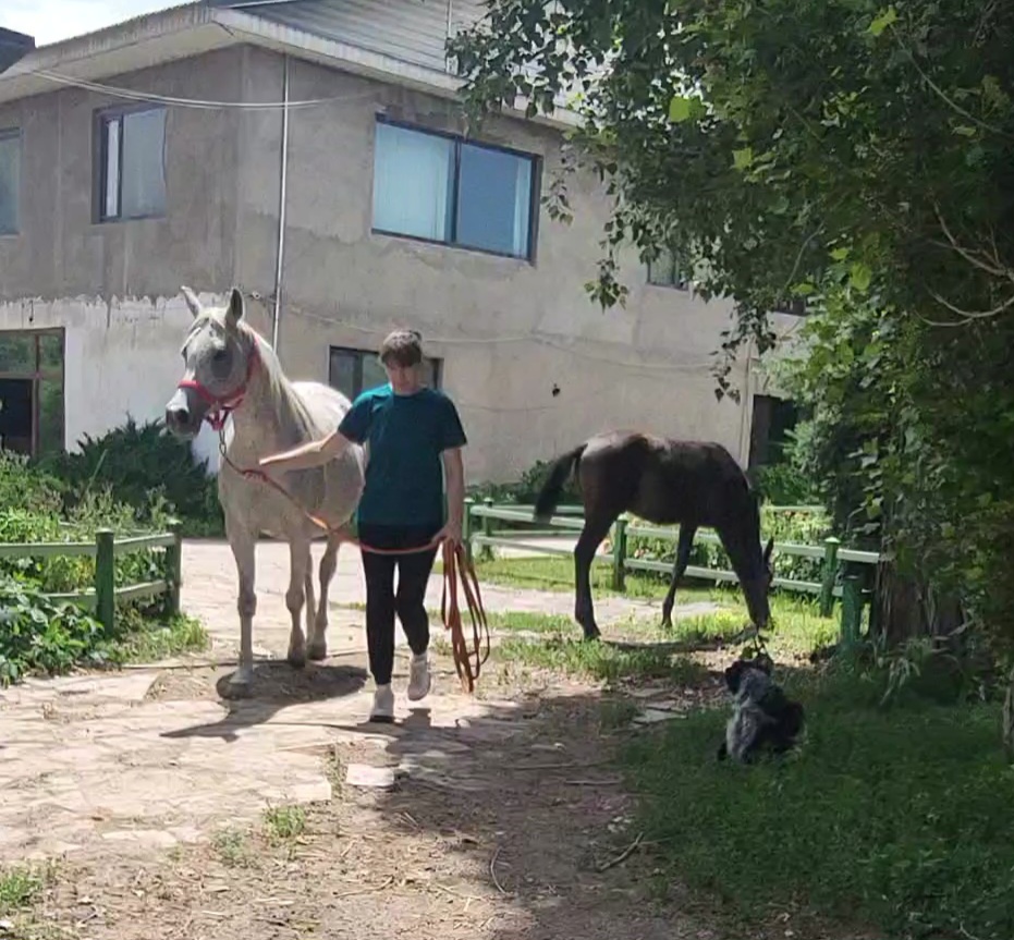 VideoCapture_20240530-135141.jpg