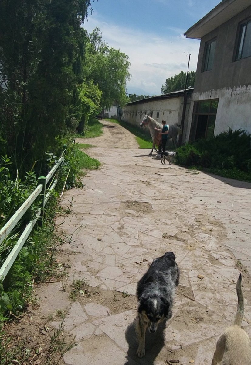 VideoCapture_20240530-144901.jpg