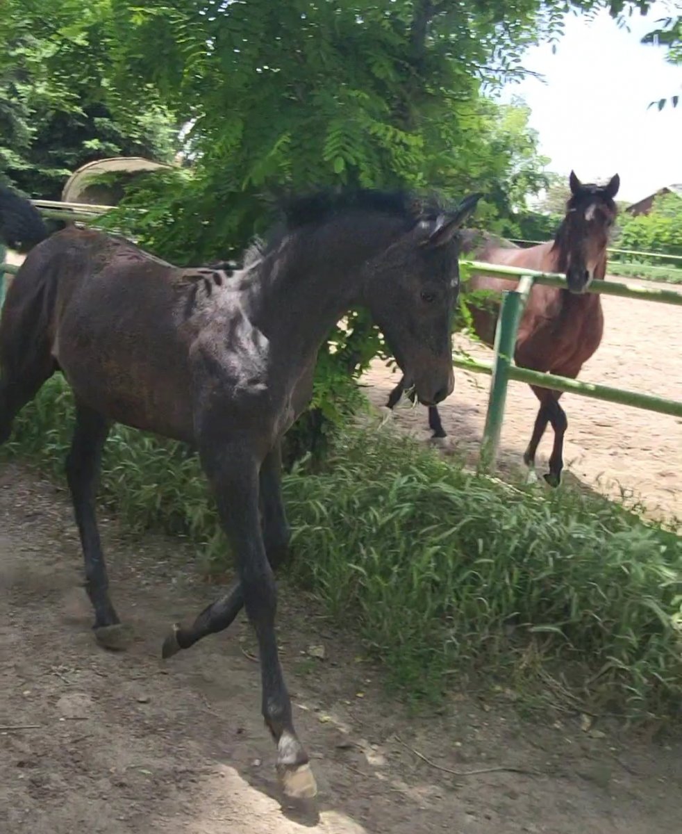 VideoCapture_20240530-145203.jpg
