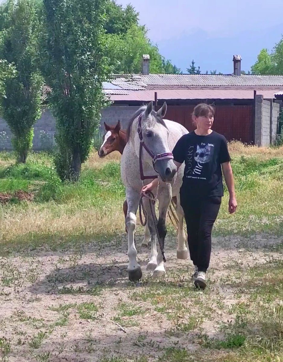 VideoCapture_20240606-141913.jpg