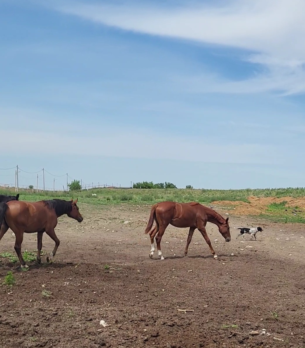 VideoCapture_20240606-141944.jpg