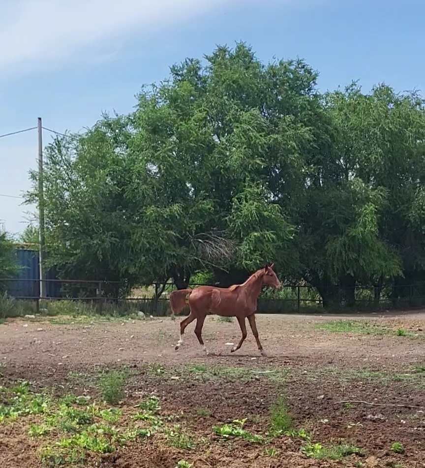 VideoCapture_20240606-142147.jpg
