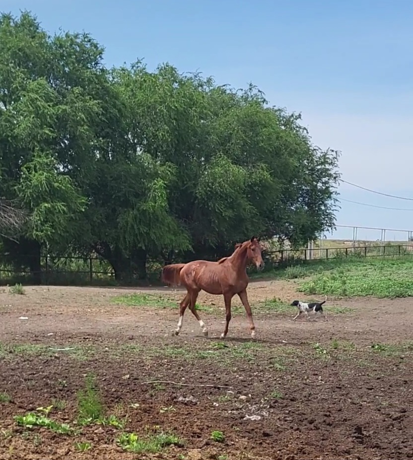 VideoCapture_20240606-142210.jpg