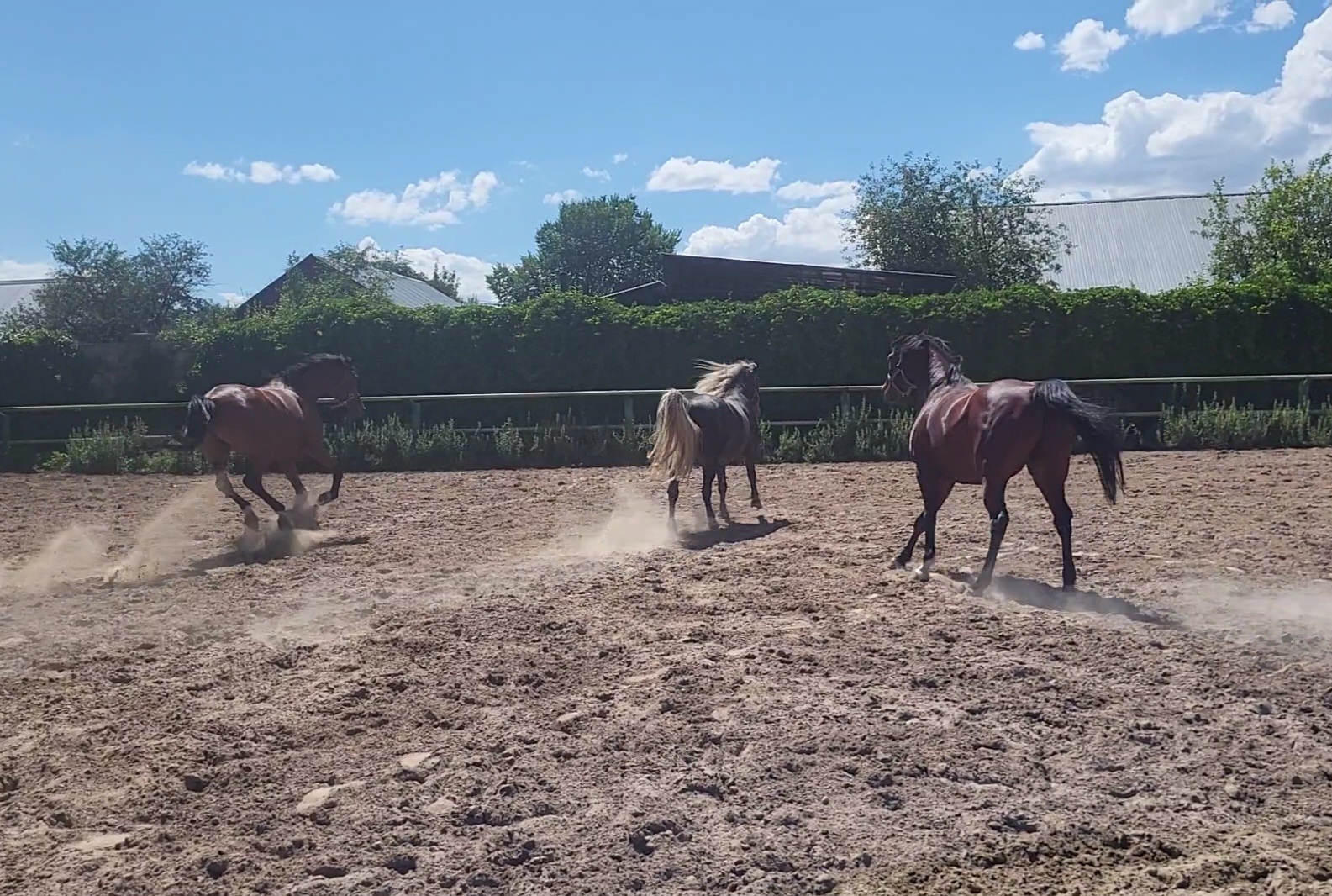 VideoCapture_20240614-141830.jpg