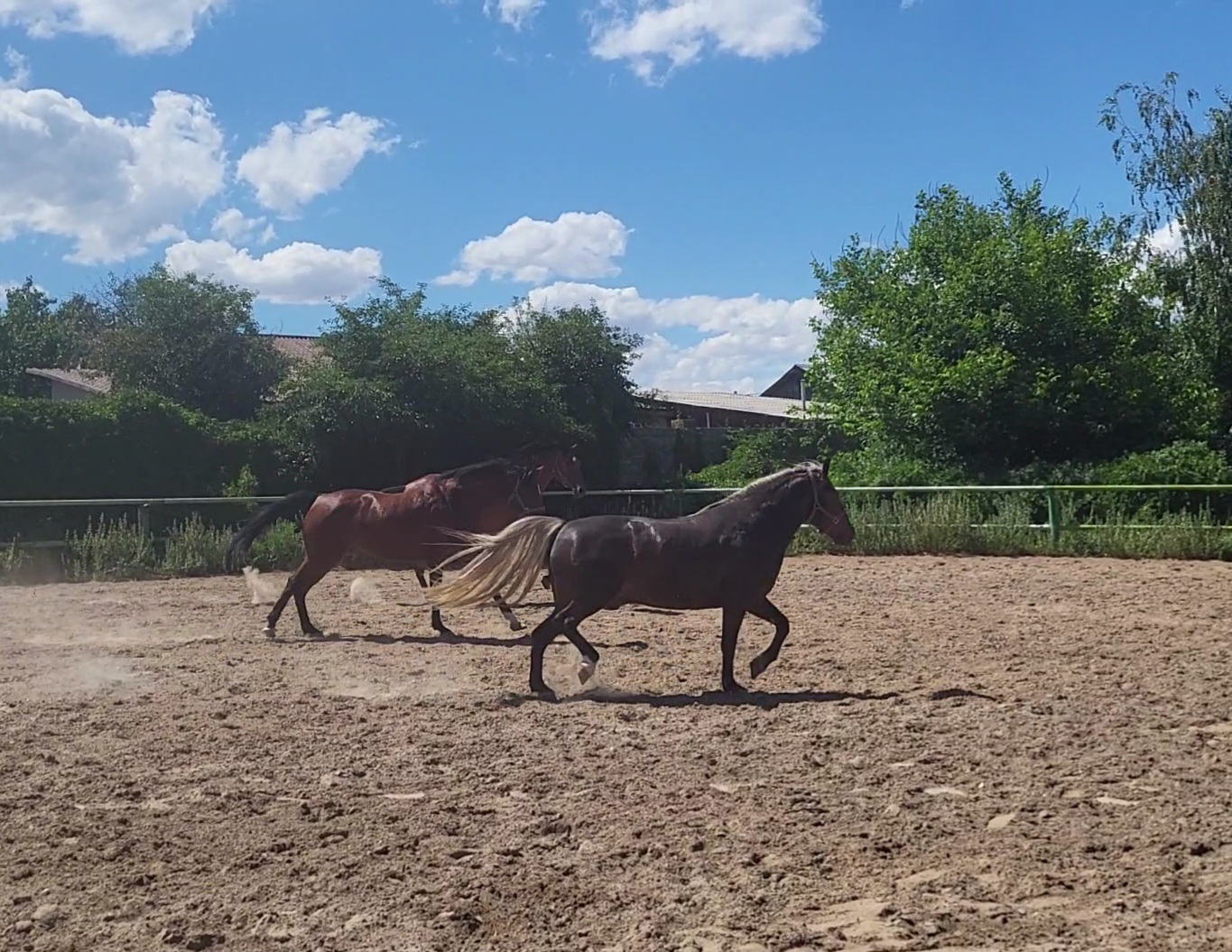 VideoCapture_20240614-141858.jpg