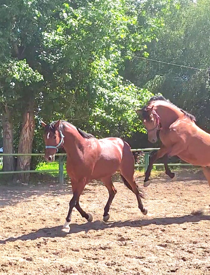 VideoCapture_20240614-142357.jpg