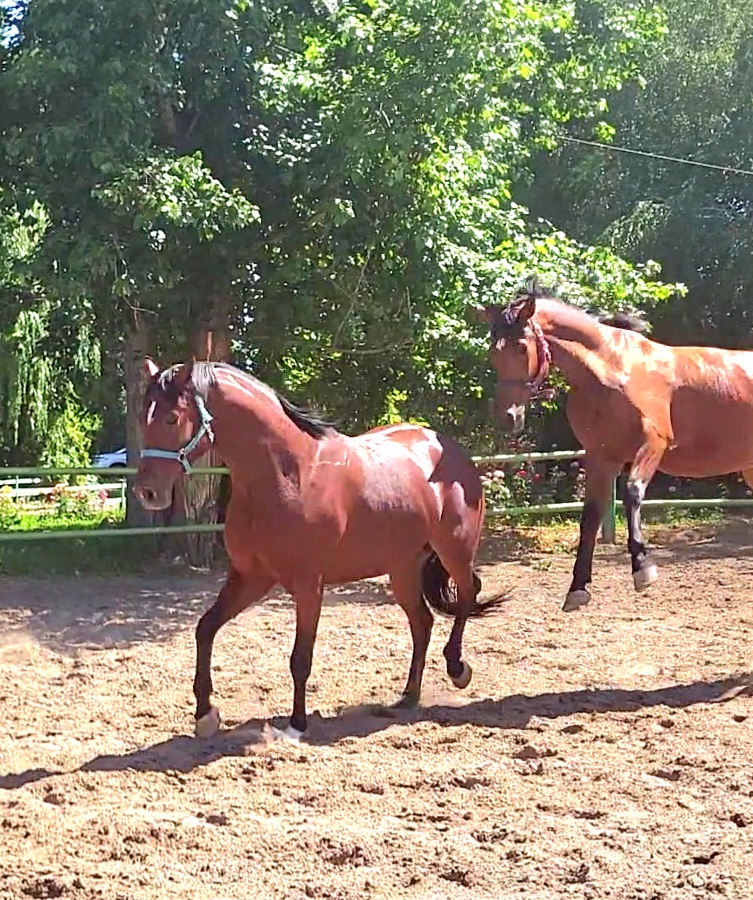 VideoCapture_20240614-142445.jpg