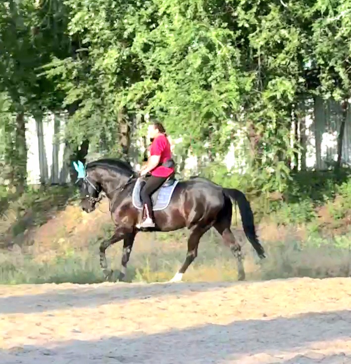 VideoCapture_20240614-203135.jpg