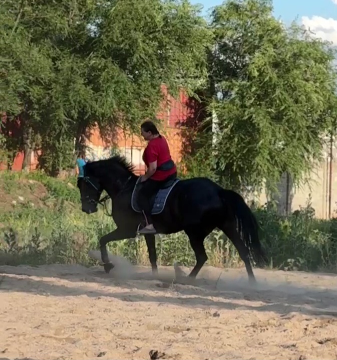 VideoCapture_20240614-203710.jpg