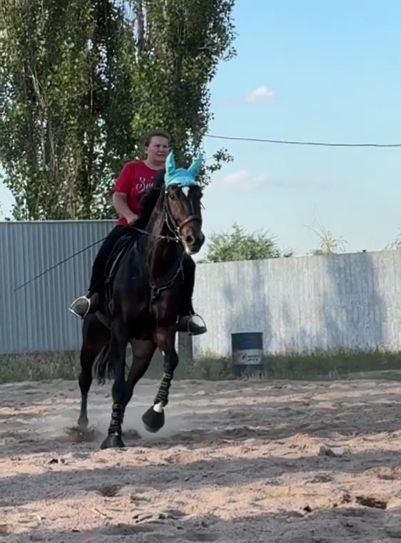 VideoCapture_20240614-203855.jpg