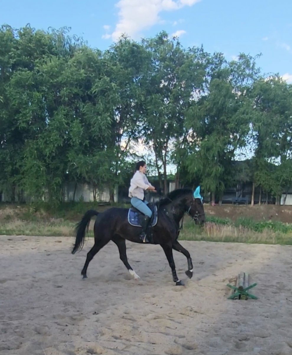 VideoCapture_20240615-074408.jpg
