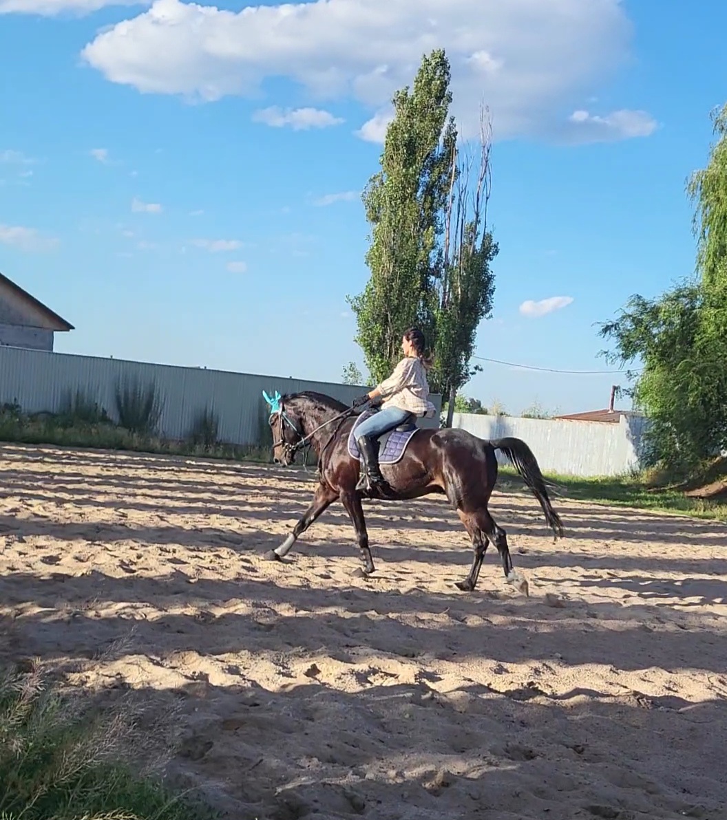 VideoCapture_20240615-074928.jpg