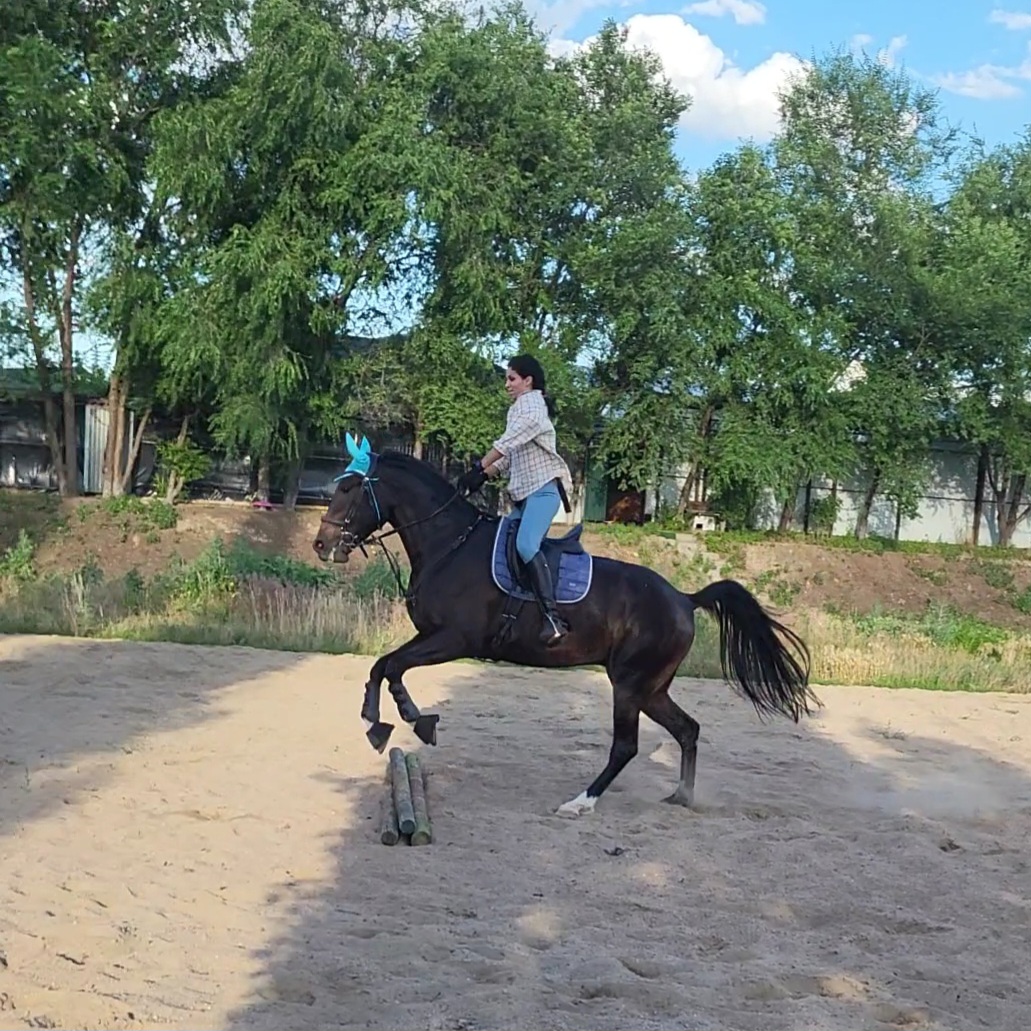 VideoCapture_20240615-075014.jpg