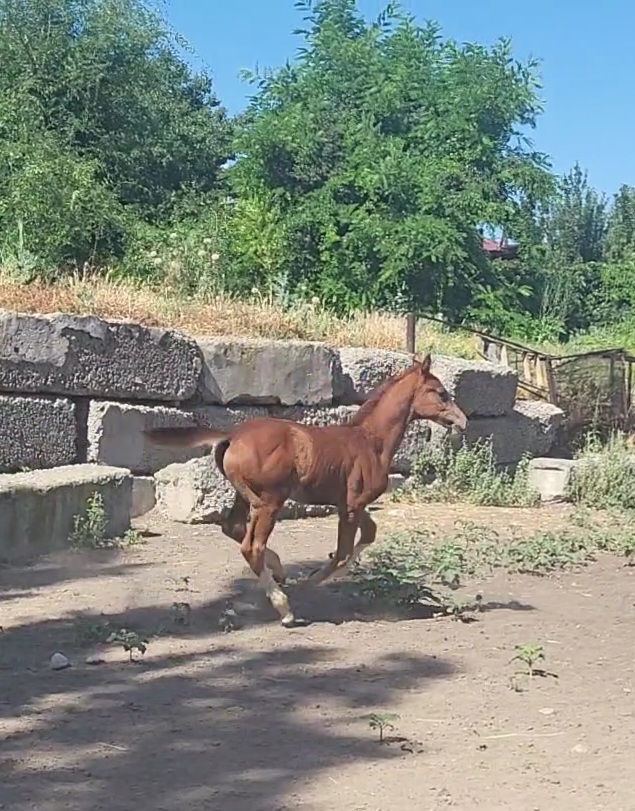 VideoCapture_20240620-085400.jpg
