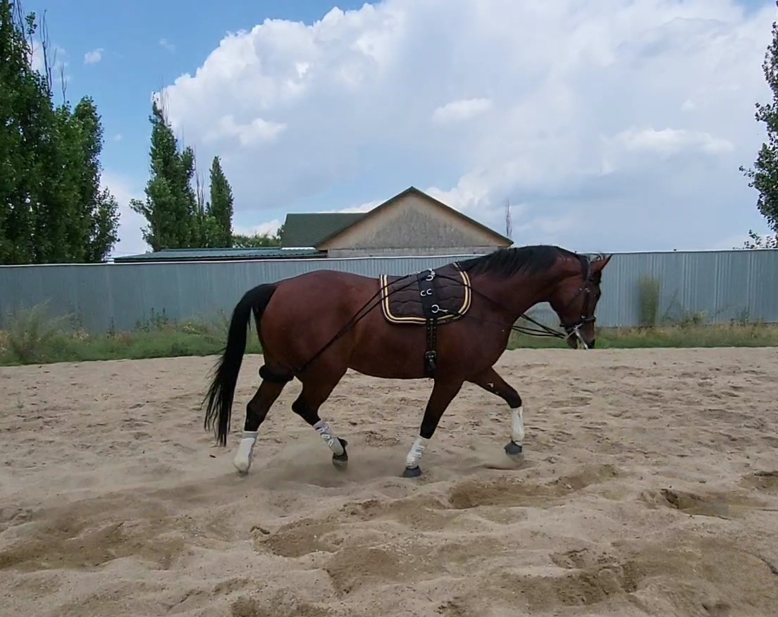 VideoCapture_20240705-131840.jpg