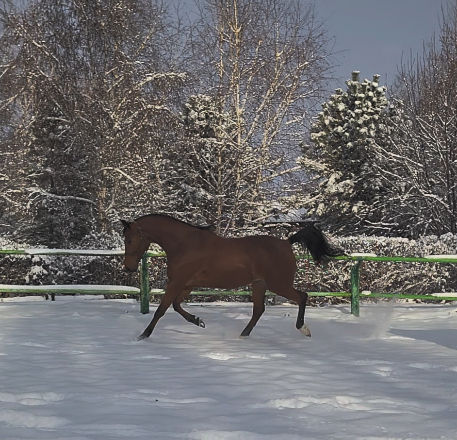 VideoCapture_20241216-105805.jpg