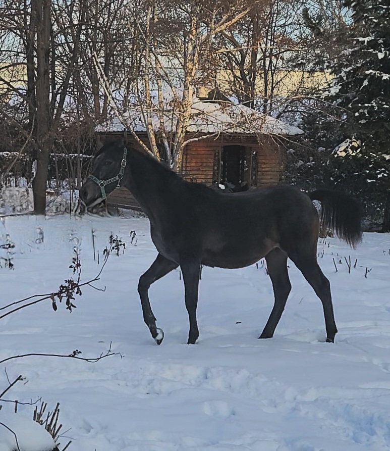 VideoCapture_20241219-153427.jpg
