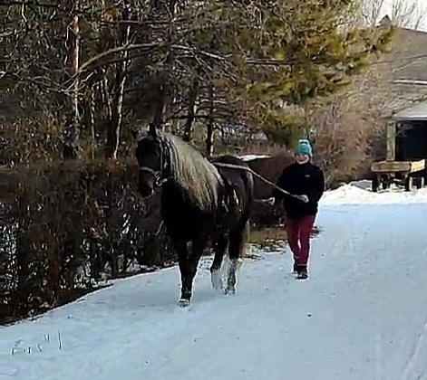 VideoCapture_20250128-180603.jpg
