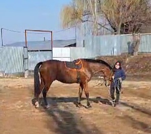 VideoCapture_20250311-162002.jpg