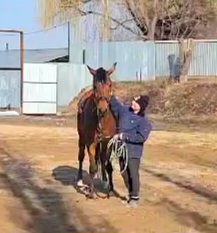 VideoCapture_20250311-162031.jpg