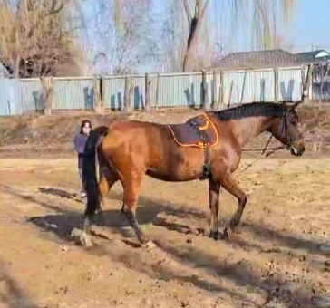 VideoCapture_20250311-162353.jpg